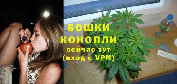 шишки Михайловка