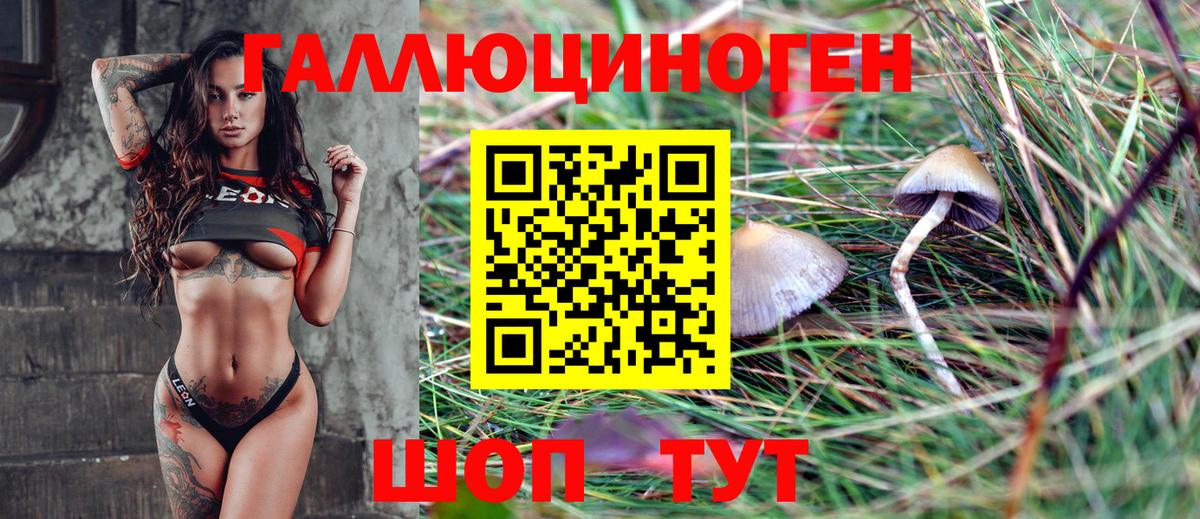 Галлюциногенные грибы Cubensis  Галлюциногенные грибы GOLDEN TEACHER  Ульяновск 