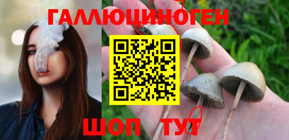 Галлюциногенные грибы Psilocybe  Псилоцибиновые грибы прущие грибы  Вход с VPN  Ульяновск 